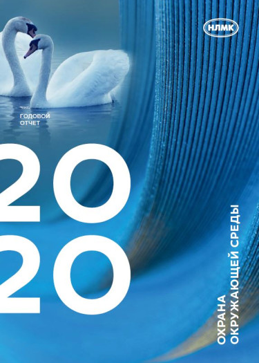 Экология 2020
